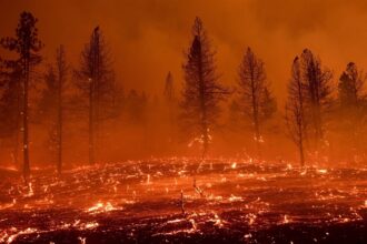 جنوب شرق أستراليا في قبضة النيران: إعلان حالة كارثة بعد حرائق تلتهم المنازل والغابات
