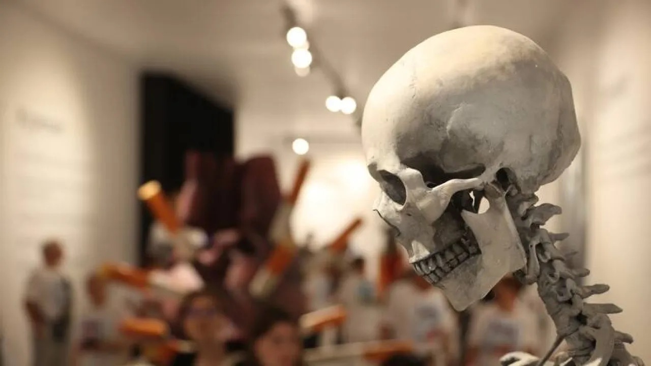 صورة حول : صدمة في بنسلفانيا: العثور على أكثر من 100 جمجمة بشرية وعظام في منزل شاب صدمة في بنسلفانيا: العثور على أكثر من 100 جمجمة بشرية وعظام في منزل شاب