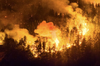 حرائق غابات باتاغونيا تلتهم 15 ألف هكتار ومخاوف من اتساعها في الأرجنتين