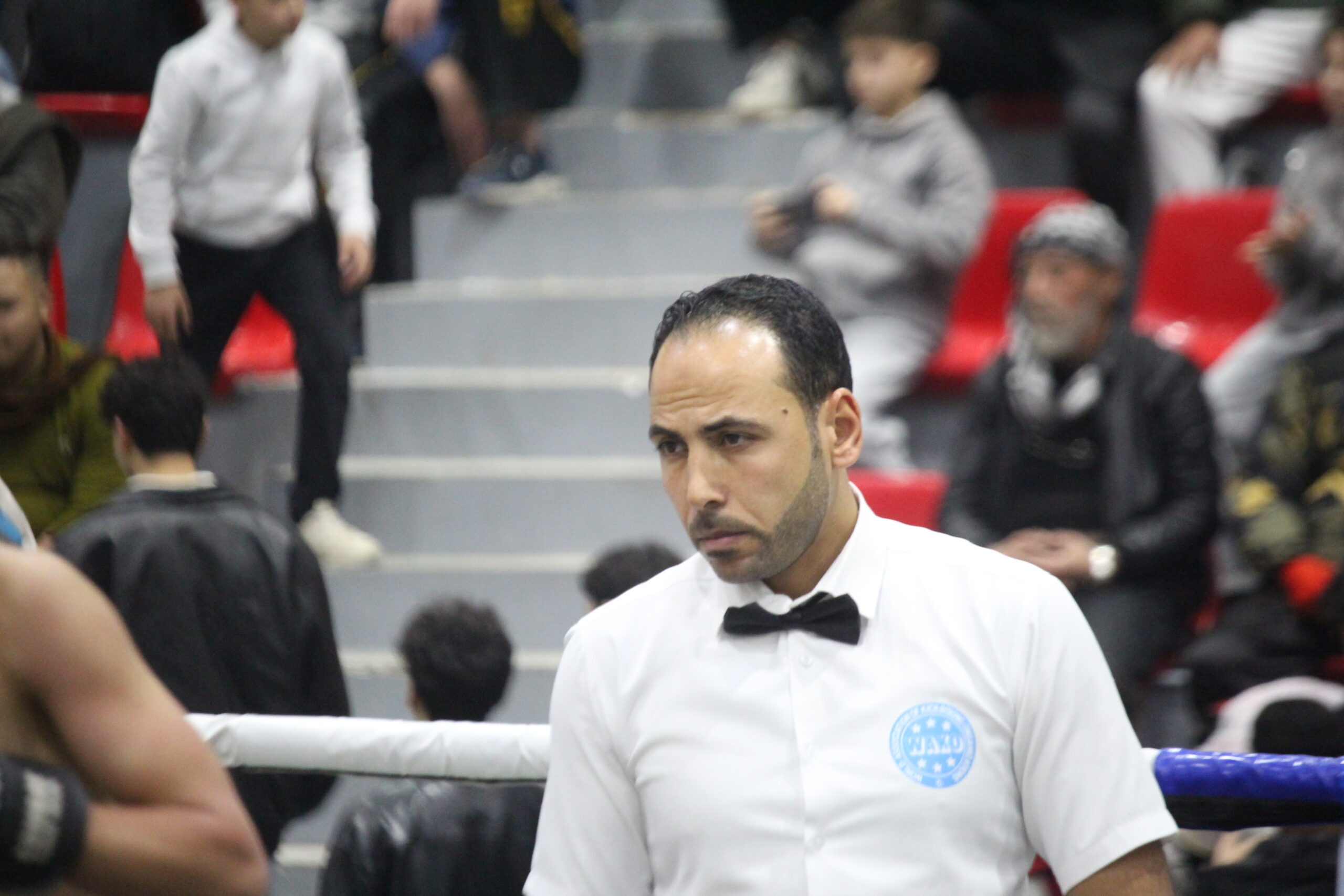 بطولة الكيك بوكسنج للشباب تسجل مشاركة واسعة "صور وفيديو"