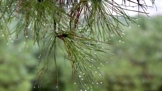 صورة حول : المملكة تتأثر بخامس منخفض جوي في مربعينية شتاء 2025/2026 والسيول تتشكل في عدة مناطق المملكة تتأثر بخامس منخفض جوي في مربعينية شتاء 2025/2026 والسيول تتشكل في عدة مناطق