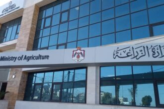 زراعة الأغوار الشمالية تدعو للتواصل مع غرفة الطوارئ للتعامل مع سقوط الأشجار خلال المنخفض الجوي