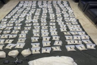 الجيش يحبط محاولة تهريب مخدرات