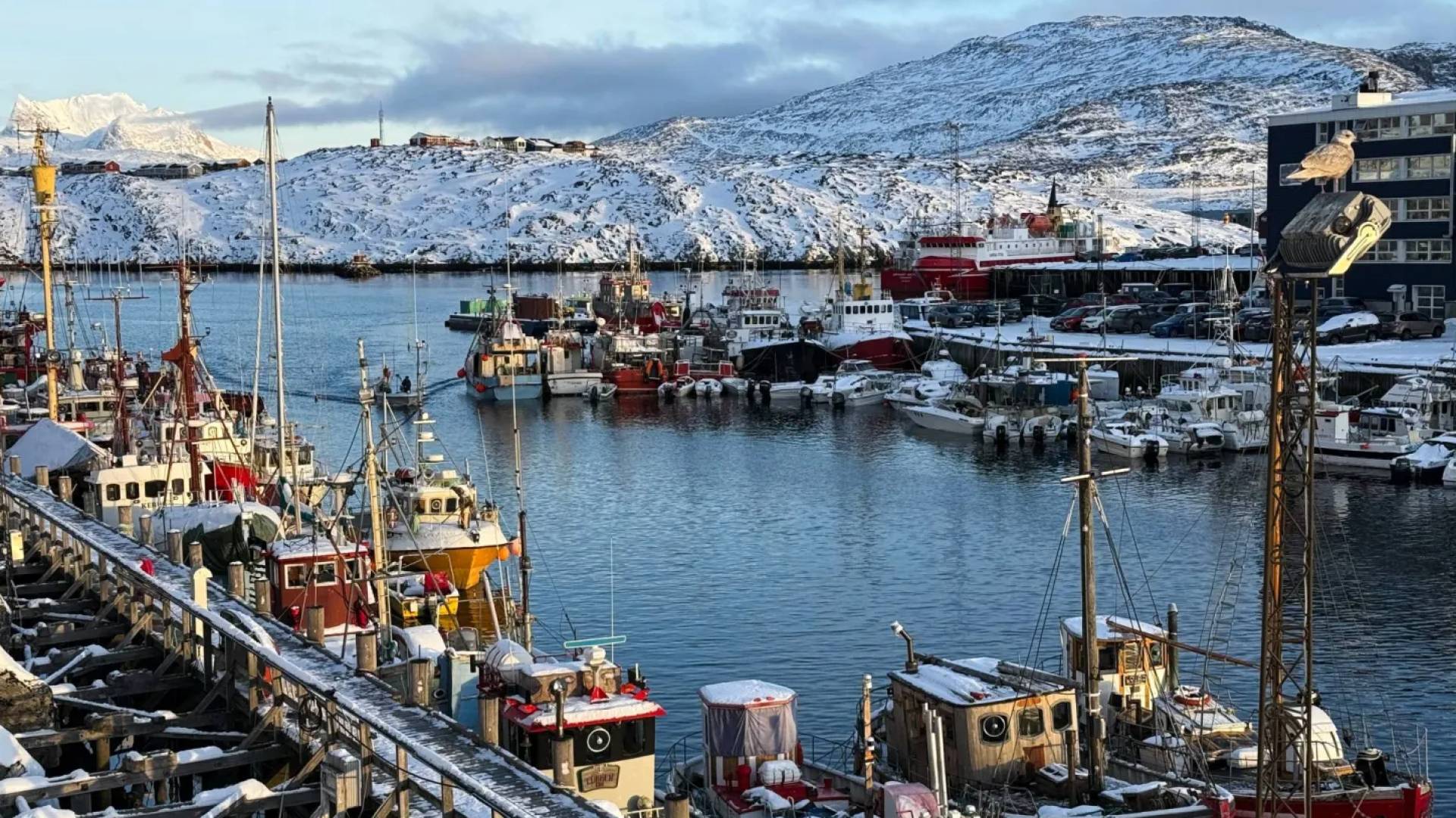 فرنسا تحذر أمريكا: غرينلاند ليست للتفاوض