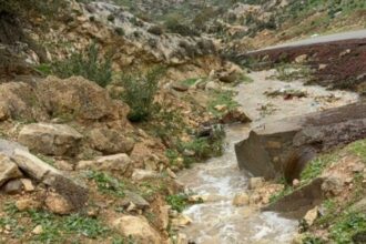 إربد تسجل هطولات مطرية قياسية تعزز الإنتاج الزراعي وتغذية المياه الجوفية