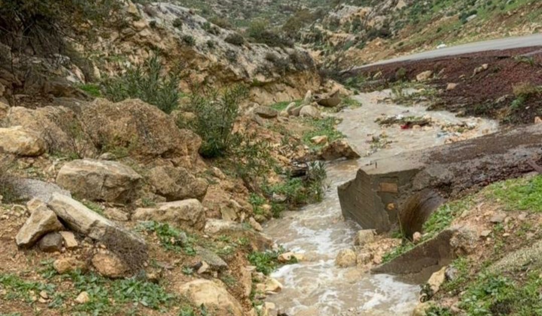 إربد تسجل هطولات مطرية قياسية تعزز الإنتاج الزراعي وتغذية المياه الجوفية