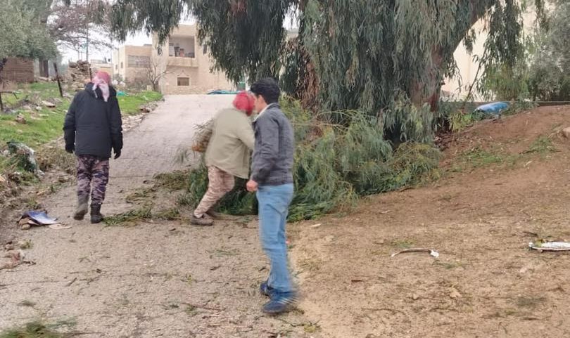 كوادر زراعة الكرك تتعامل مع 30 حالة سقوط أشجار