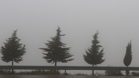 الأرصاد تحذر: طقس بارد مع ضباب وصقيع وأمطار متفرقة خلال الأيام القادمة