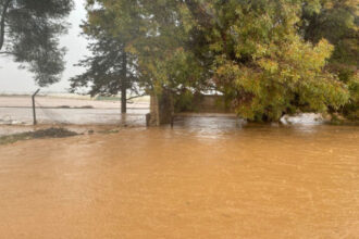 مأدبا الكبرى تستعد لمواجهة الأمطار الغزيرة بـ13 بؤرة ساخنة وخطة بـ3 ملايين دينار