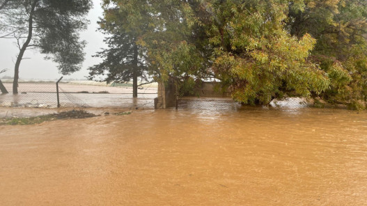 مأدبا الكبرى تستعد لمواجهة الأمطار الغزيرة بـ13 بؤرة ساخنة وخطة بـ3 ملايين دينار