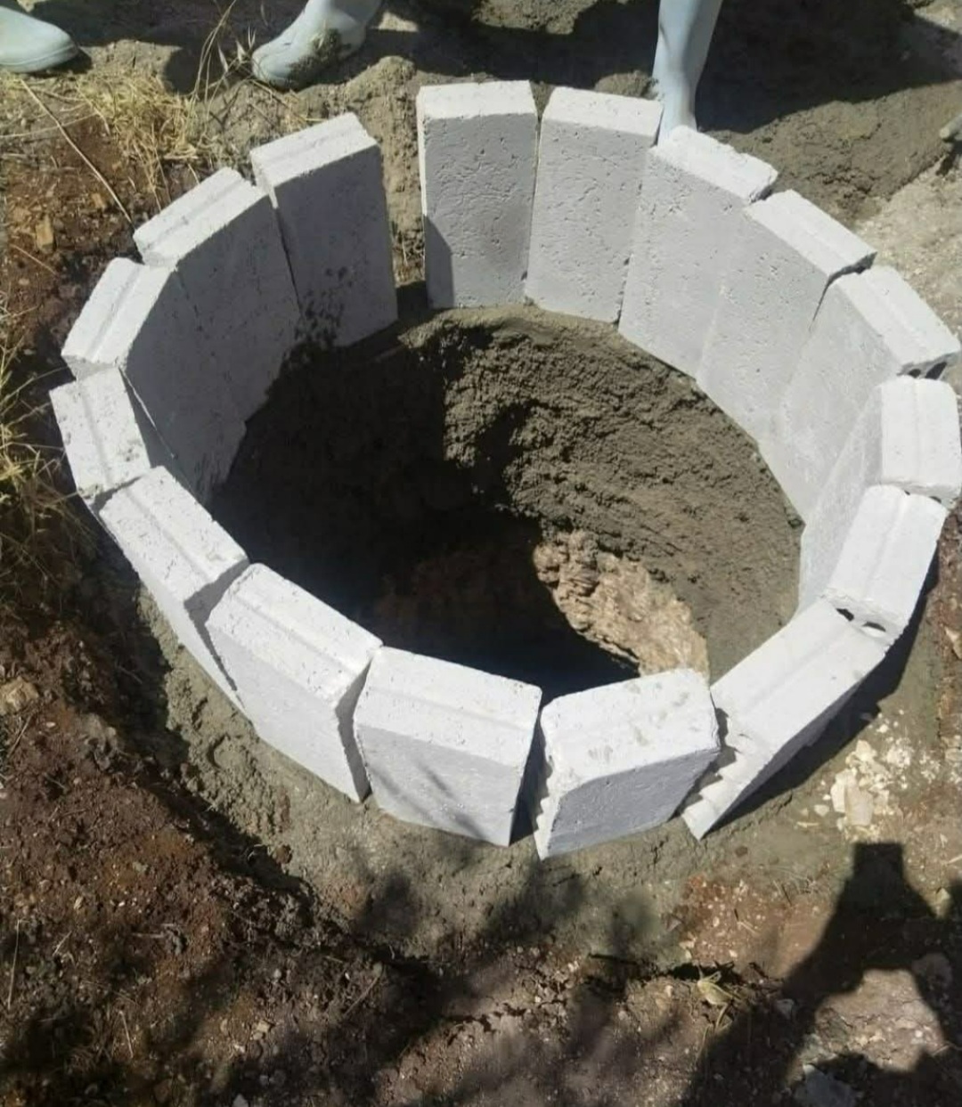 صورة حول : زراعة إربد: الأمطار الغزيرة تبشر بموسم زراعي وفير زراعة إربد: الأمطار الغزيرة تبشر بموسم زراعي وفير