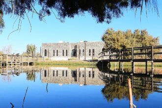 الهطولات المطرية تعيد الحياة لقاع الأزرق وتغذي المسطحات الطبيعية في المحمية