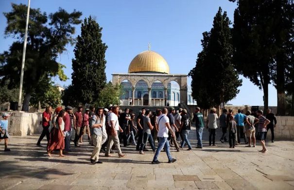 صورة حول : مستوطنون يقتحمون المسجد الأقصى بحماية شرطة الاحتلال مستوطنون يقتحمون المسجد الأقصى بحماية شرطة الاحتلال
