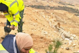 الطفيلة: بلديات المحافظة تطلق حملات تشجير لزراعة 3 آلاف شجرة في الميادين والمداخل
