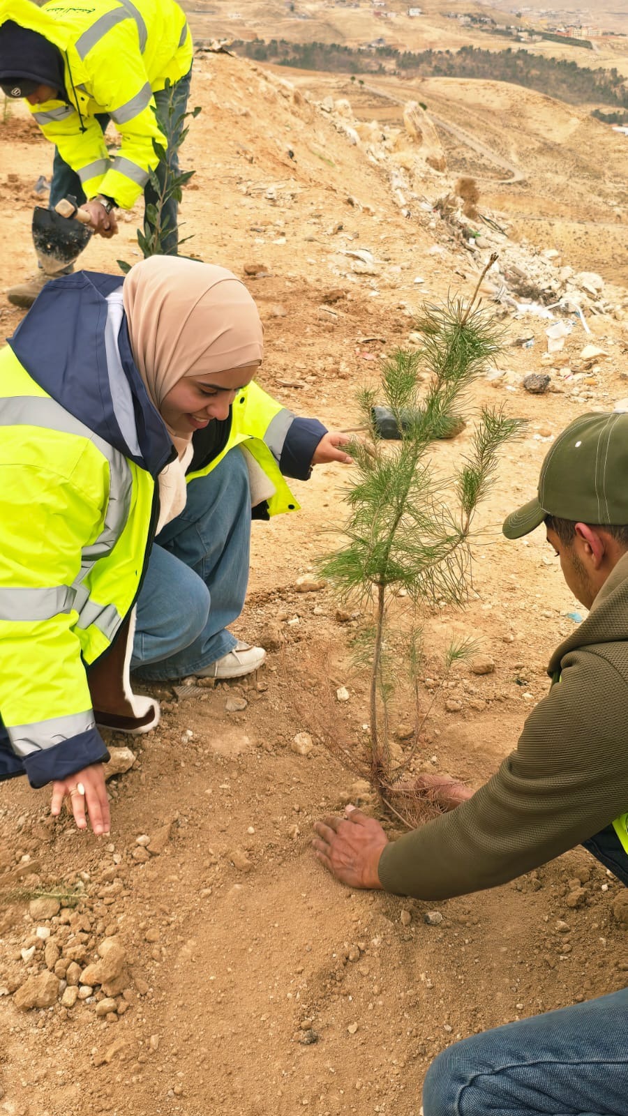 الطفيلة: بلديات المحافظة تطلق حملات تشجير لزراعة 3 آلاف شجرة في الميادين والمداخل