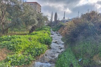 عجلون تزدهر بالزوار: الطبيعة الخضراء والأجواء الدافئة تجذب السياح قبل رمضان