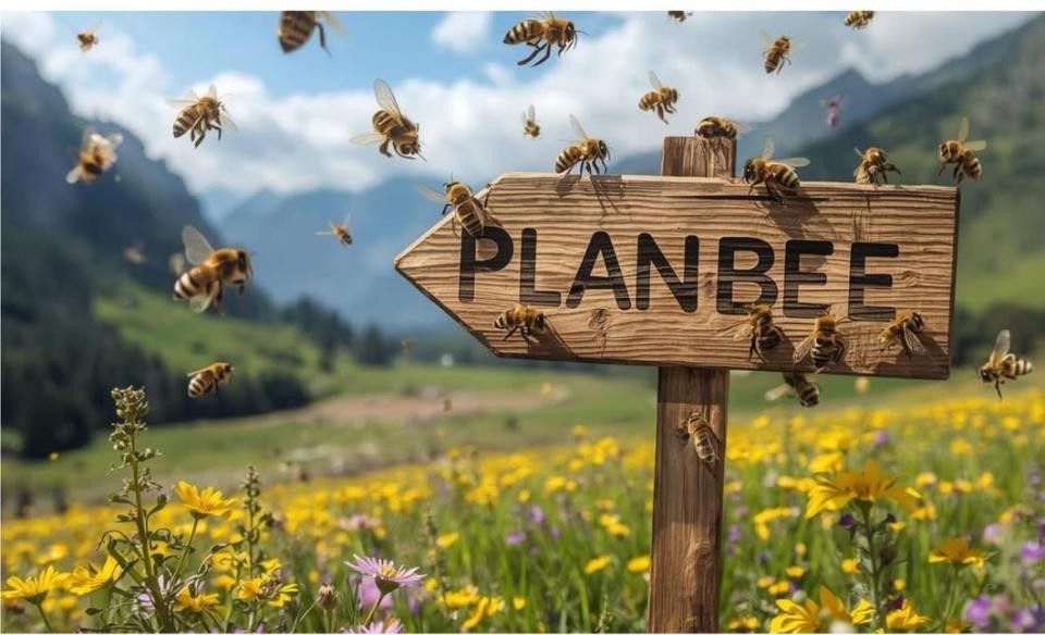 صورة حول : جمعية “إيد بإيد” تعقد مؤتمرًا لتعزيز اقتصاد النحل المستدام في الأردن وإطلاق مشروع PLANBEE جمعية “إيد بإيد” تعقد مؤتمرًا لتعزيز اقتصاد النحل المستدام في الأردن وإطلاق مشروع PLANBEE