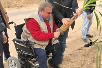 العقبة تنفذ حملات تشجير وزراعة آلاف الشتلات لدعم البيئة والتنمية المستدامة