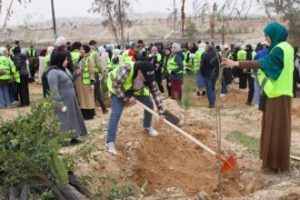 زراعة 70 ألف شجرة في 100 بلدية ضمن الحملة الوطنية للتشجير