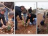 بلديات الزرقاء تنفذ فعاليات تشجير واسعة ضمن الحملة الوطنية لزيادة الرقعة الخضراء