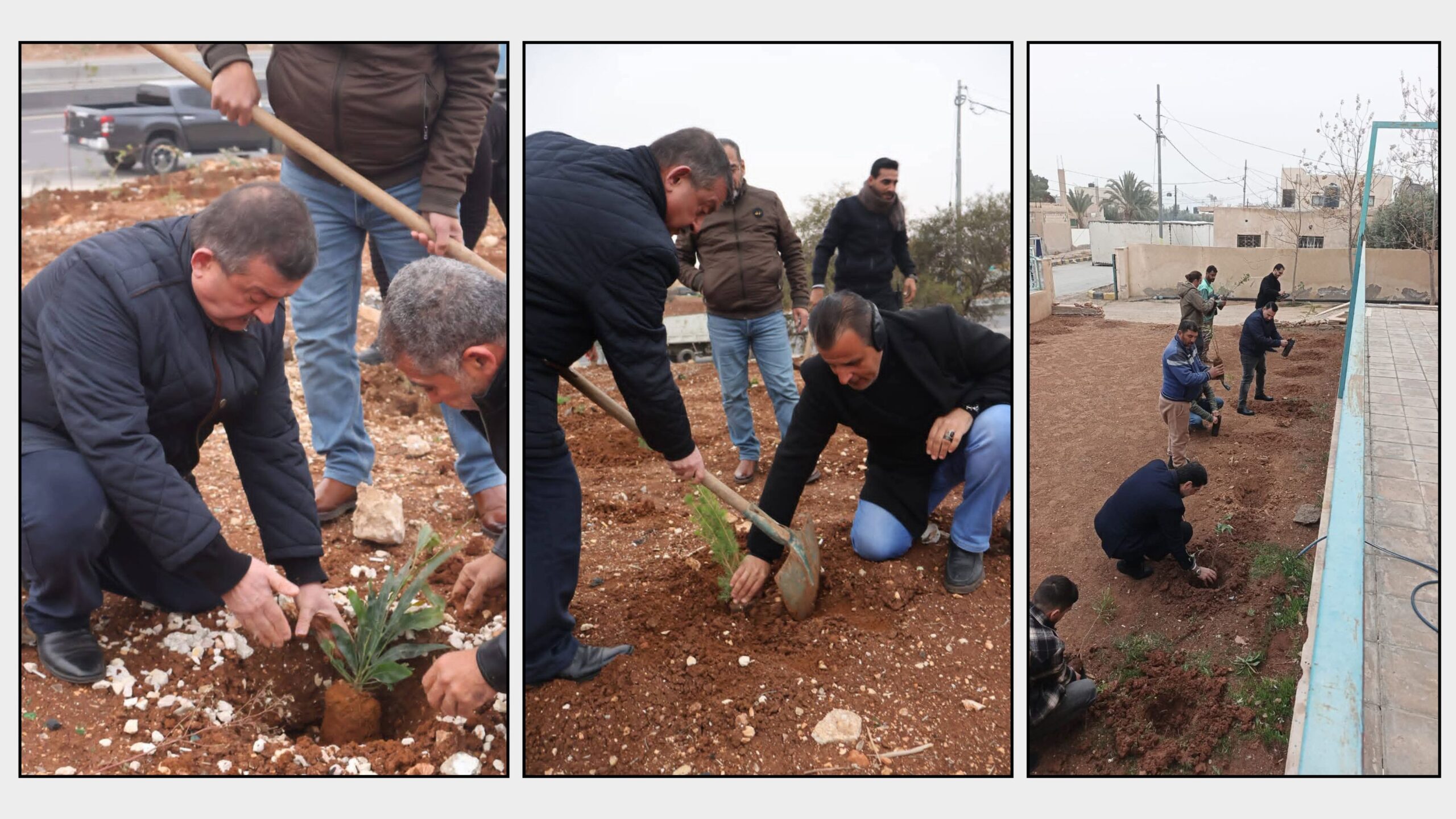 بلديات الزرقاء تنفذ فعاليات تشجير واسعة ضمن الحملة الوطنية لزيادة الرقعة الخضراء