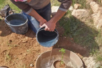 الأردن يواصل دعم مبادرة الشرق الأوسط الأخضر ويعزز جهوده في الاستدامة المناخية