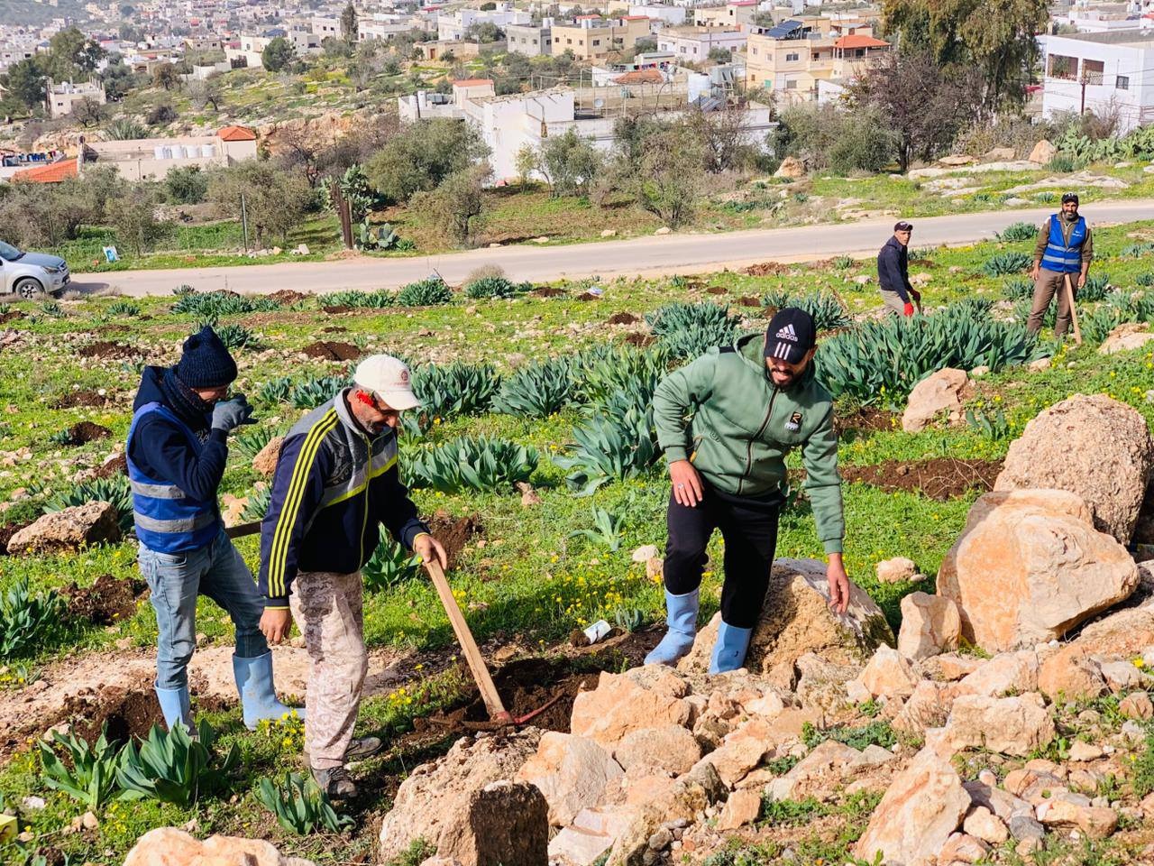 بلديات المملكة تواصل حملة التشجير الوطنية لتعزيز الرقعة الخضراء