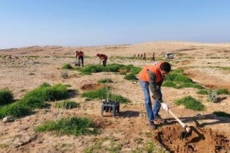 بلديات المملكة تواصل حملات التشجير لتعزيز الرقعة الخضراء ومواجهة التغير المناخي