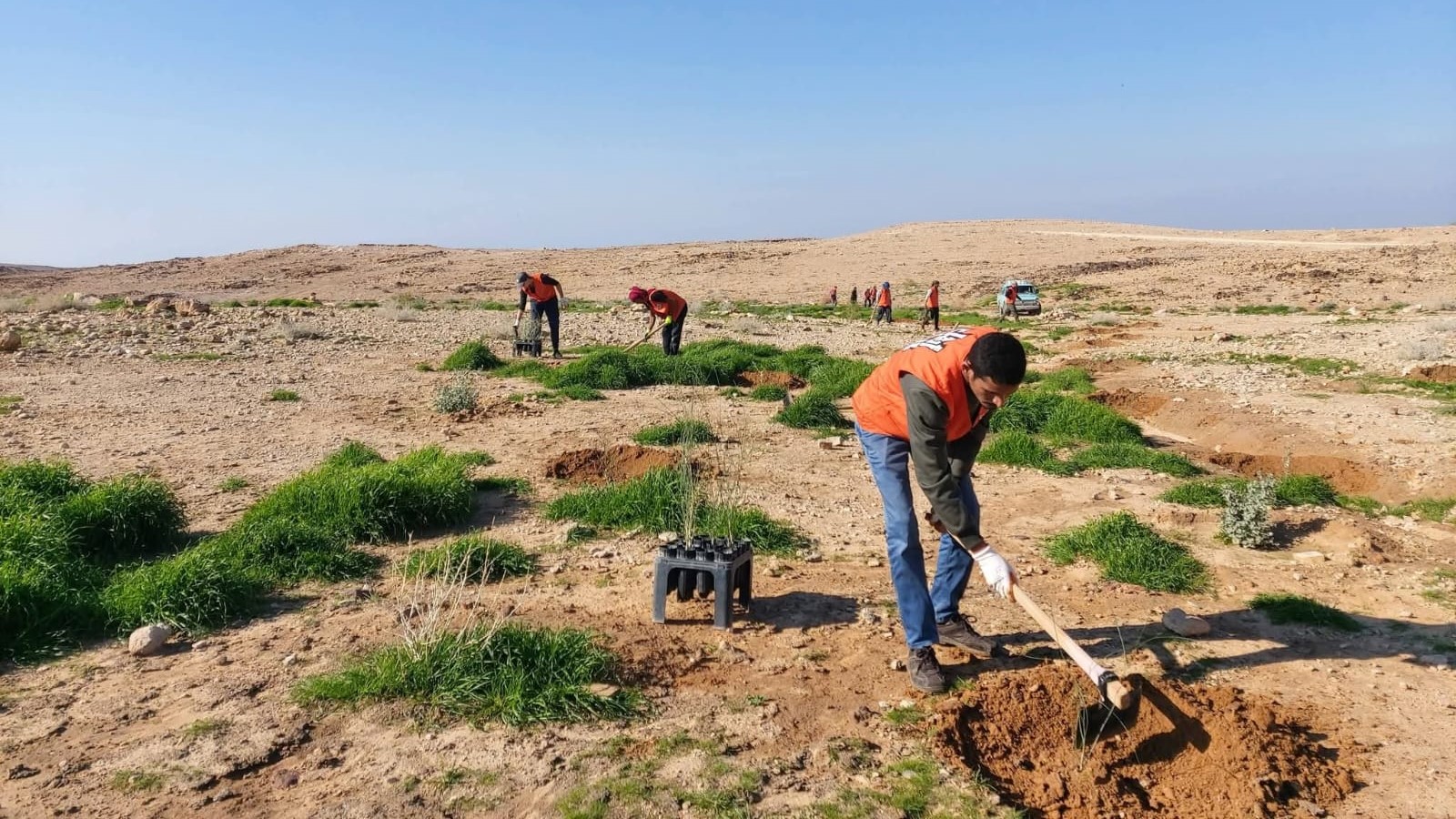 بلديات المملكة تواصل حملات التشجير لتعزيز الرقعة الخضراء ومواجهة التغير المناخي