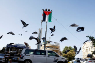 الأردن أمام مجلس الأمن: ضرورة التزام إسرائيل بوقف إطلاق النار وتنفيذ الاتفاق كاملاً في غزة