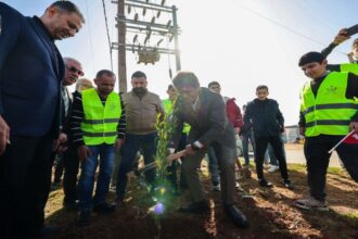 وزيرا الشباب والإدارة المحلية يشاركان في غرس 6 آلاف شجرة بالرمثا