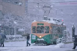 تساقط الثلوج يودي بحياة 30 يابانيًا