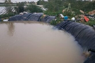 وزارة المياه تضبط بئرا مخالفة وتوقف اعتداءات في الشونة الجنوبية