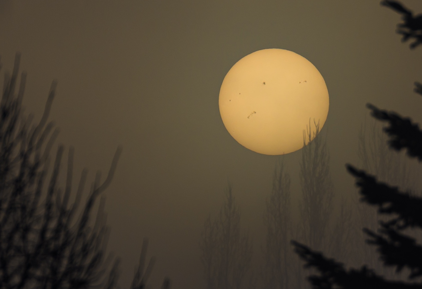 كيف تدور الشمس حول محورها وهل سرعتها ثابتة؟