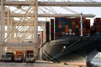 فضيحة إبستين تهز موانئ دبي العالمية واستثماراتها تتوقف