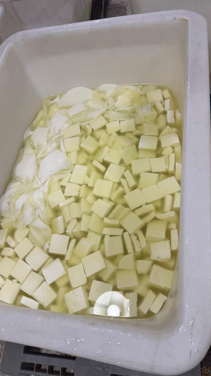 الغذاء والدواء تُغلق مصنع ألبان في عمّان وتضبط 10 أطنان منتجات مخالفة