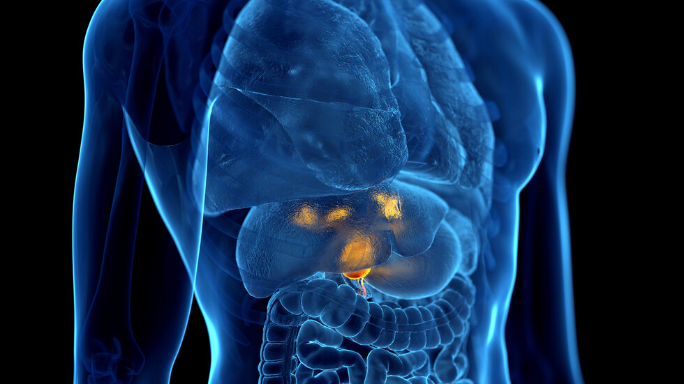  نقل الأحماض الصفراوية يفتح آفاقًا علاجية جديدة