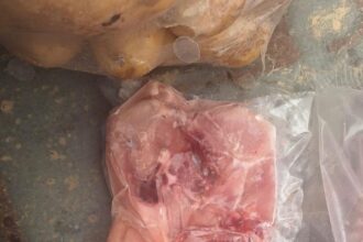 عاجل | ضبط 240 كغم من الدجاج المجمد مجهول المصدر في مركبة