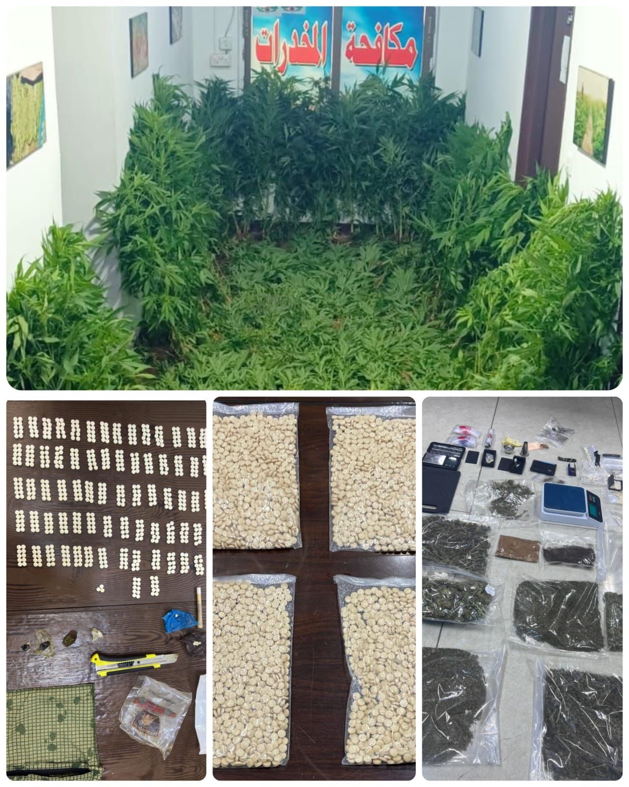 صورة حول : عاجل| إدارة مكافحة المخدرات تقبض على 35 تاجراً ومروجاً خلال 13 قضية نوعية في عدة محافظات عاجل| إدارة مكافحة المخدرات تقبض على 35 تاجراً ومروجاً خلال 13 قضية نوعية في عدة محافظات