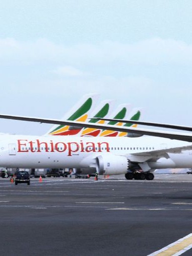 صورة حول : الخطوط الجوية الإثيوبية تستأنف رحلاتها إلى إقليم تيجراي الخطوط الجوية الإثيوبية تستأنف رحلاتها إلى إقليم تيجراي