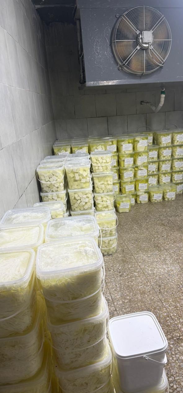 الغذاء والدواء تُغلق مصنع ألبان في عمّان وتضبط 10 أطنان منتجات مخالفة