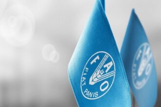 الفاو: أسعار الغذاء العالمية تتراجع للشهر الخامس على التوالي