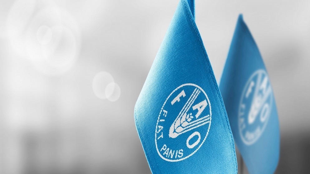 الفاو: أسعار الغذاء العالمية تتراجع للشهر الخامس على التوالي