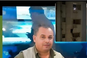 سبايدر المعادي