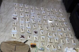 عاجل | الجيش يحبط محاولة تهريب مواد مخدرة بواسطة بالونات