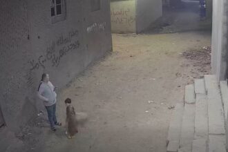 إصابة أب ونجله بطلقات خرطوش والأمن يلاحق المتهمين في القليوبية