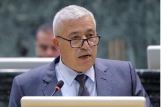 النائب السابق د على الطراونة يوضح عمل اللجان البرلمانية ويؤكد عدم جواز مقاضاتها الغير