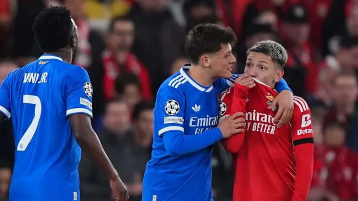 صورة حول : الاتحاد البرازيلي يطالب بإجراءات صارمة بعد عنصرية ضد جونيور الاتحاد البرازيلي يطالب بإجراءات صارمة بعد عنصرية ضد جونيور