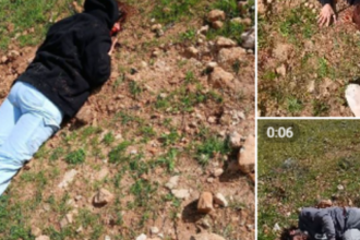 اعتداء مستوطنين على متضامنين أجانب جنوب نابلس