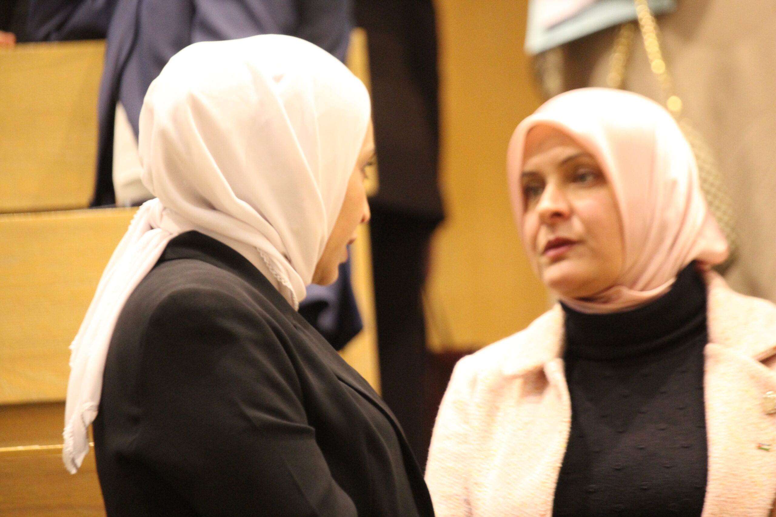 مجلس النواب يواصل مناقشة قانون التأمين